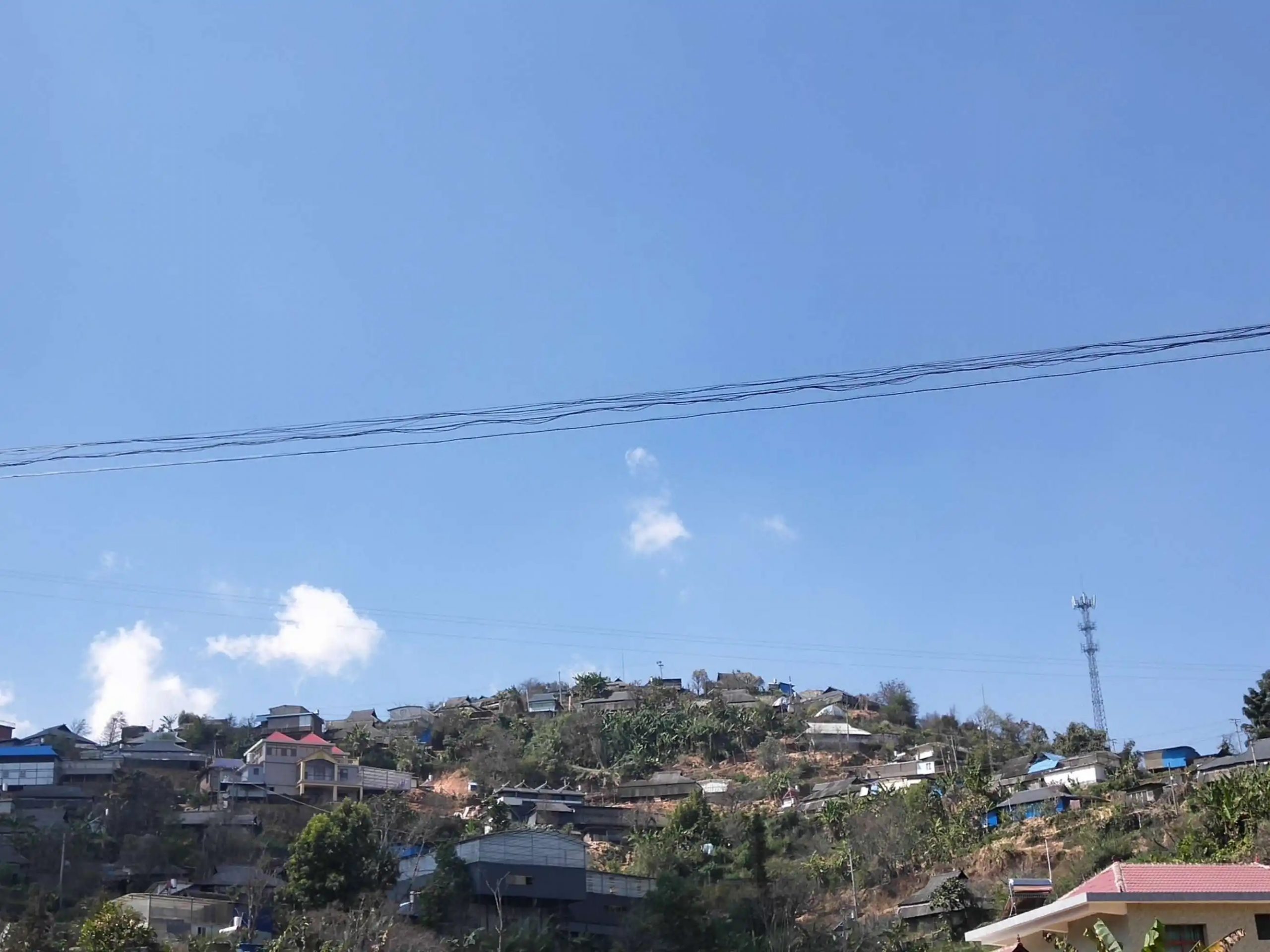 2023帕沙古樹(shù)春茶特點(diǎn)是什么？