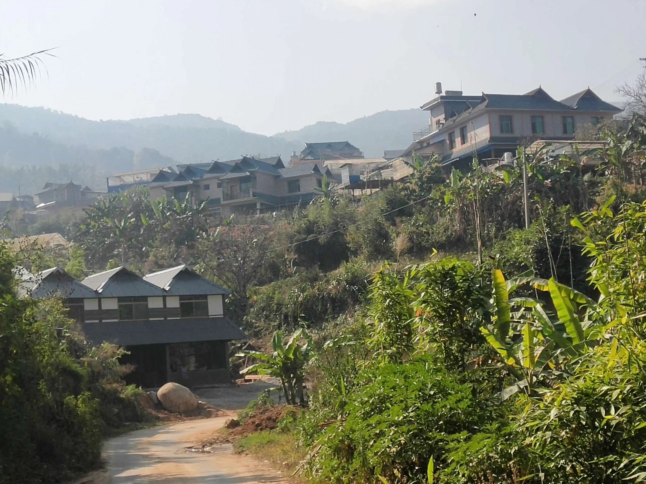 2023年帕沙古樹(shù)春茶價(jià)格多少錢(qián)？