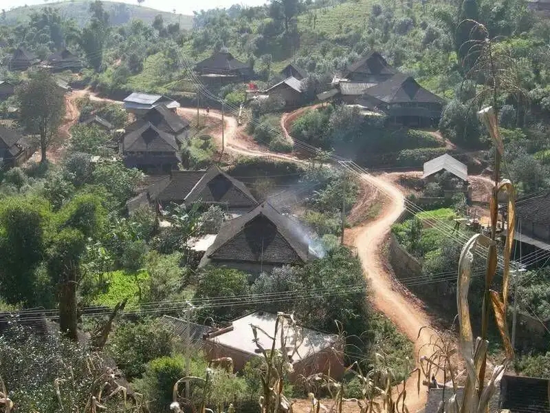 2023年保塘老寨古樹春茶品質(zhì)如何？