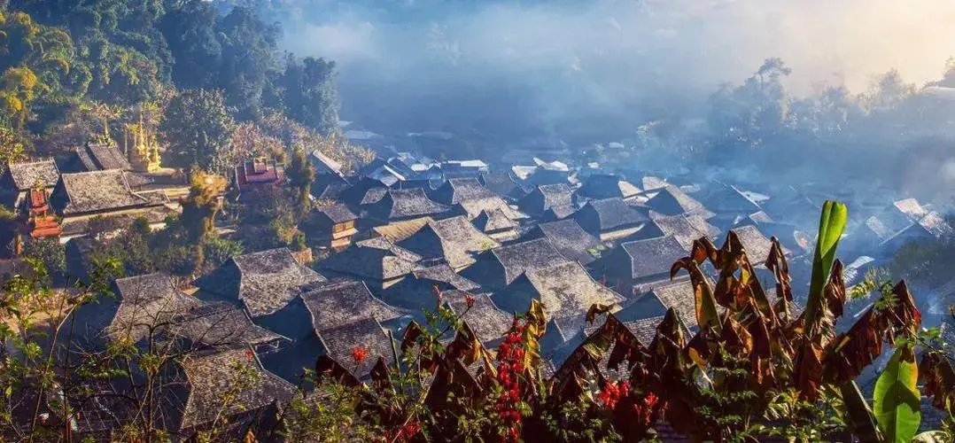 2023年景邁古樹春茶品質(zhì)如何？