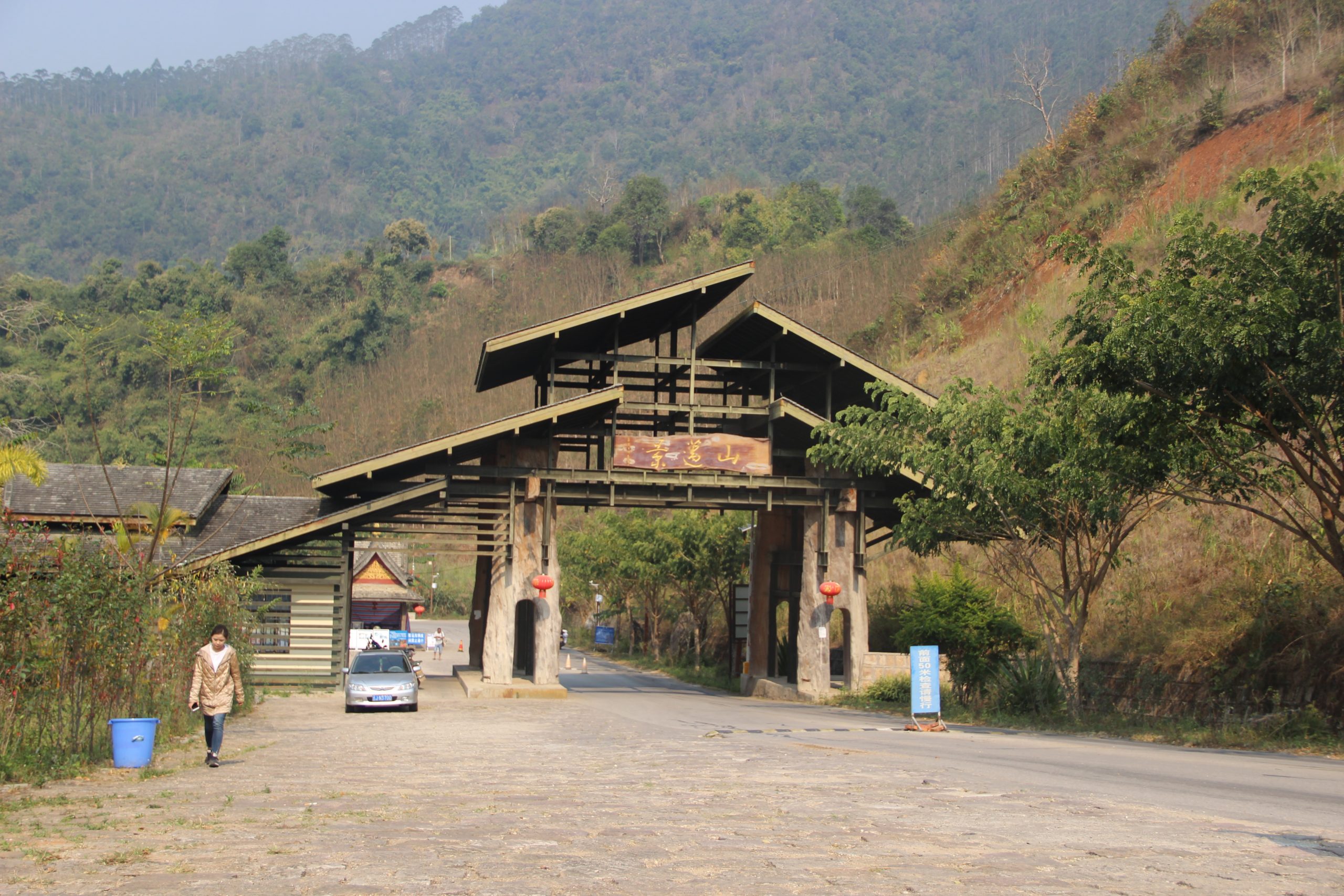 2023年景邁古樹春茶口感如何？