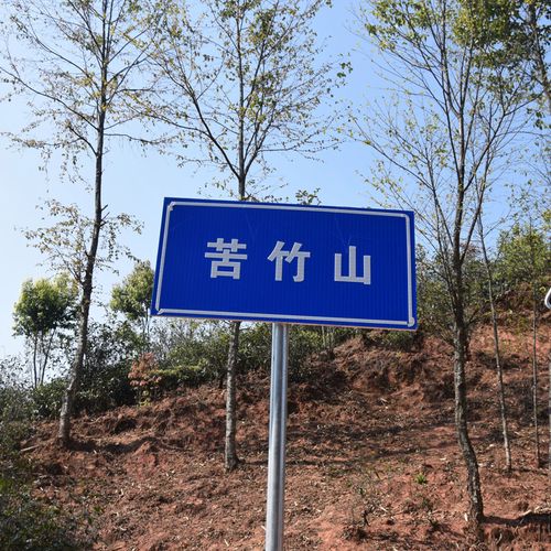 2023年苦竹山古樹春茶品質(zhì)如何？