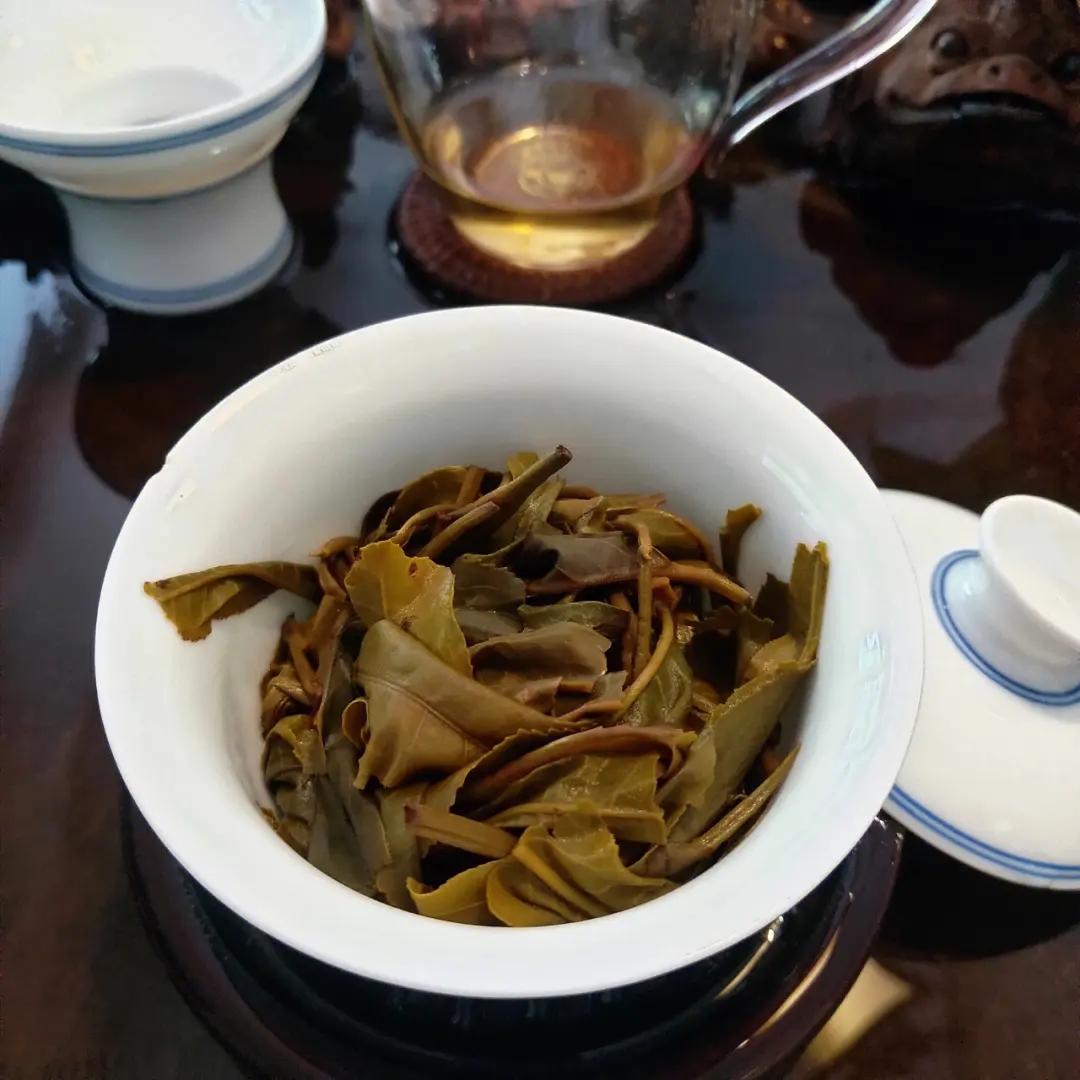 2023年昔歸古樹春茶口感如何？