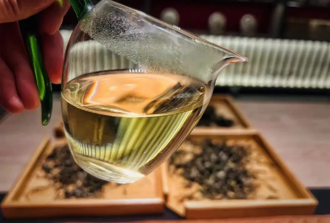 2023年鳳凰窩古樹春茶價(jià)格是多少？