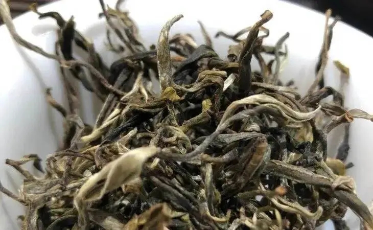 2023年鳳凰窩古樹春茶多少一公斤？