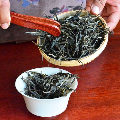 2023年地界古樹(shù)春茶口感是什么？