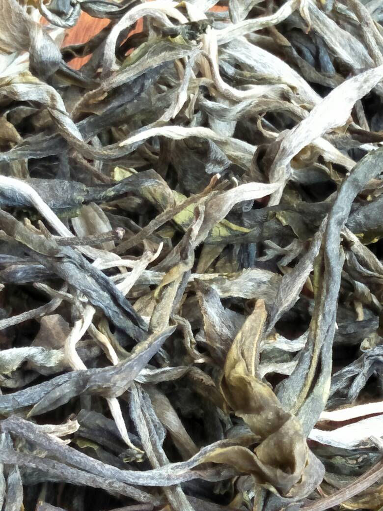 2023年壩歪古樹(shù)春茶價(jià)格是多少？