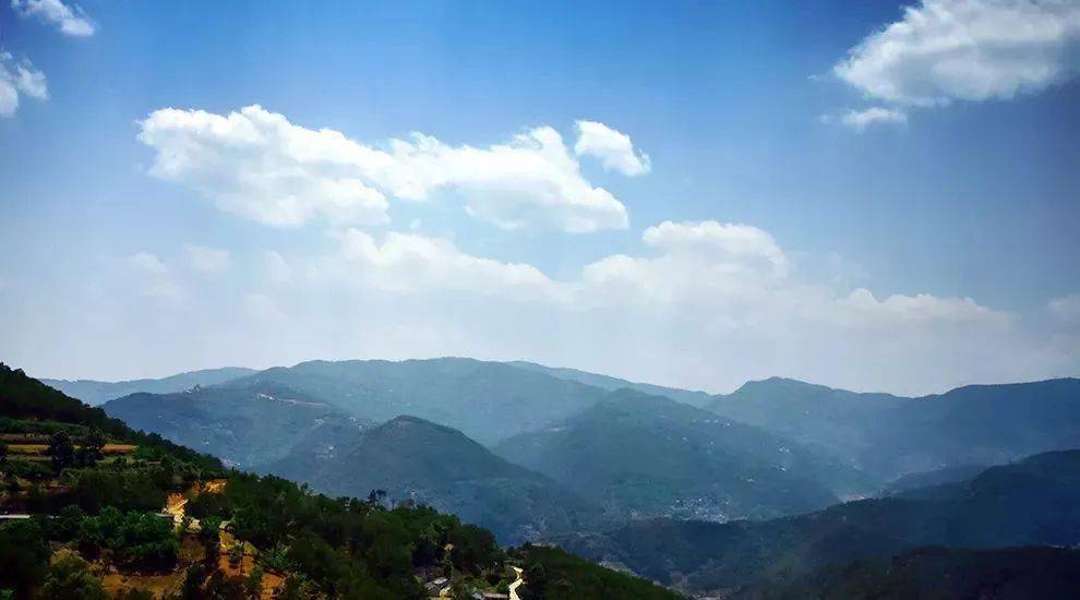 2023年勐庫大忠山古樹春茶價(jià)格是多少？