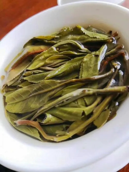 2023年鍋底塘古樹春茶特點是什么？