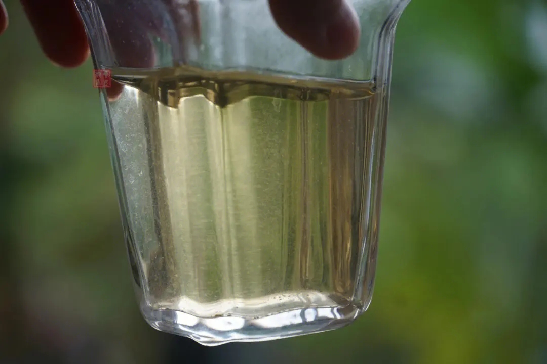 2023年多依樹古樹春茶價(jià)格是多少？