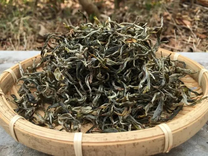 2023年易武張家灣古樹春茶品質(zhì)如何？