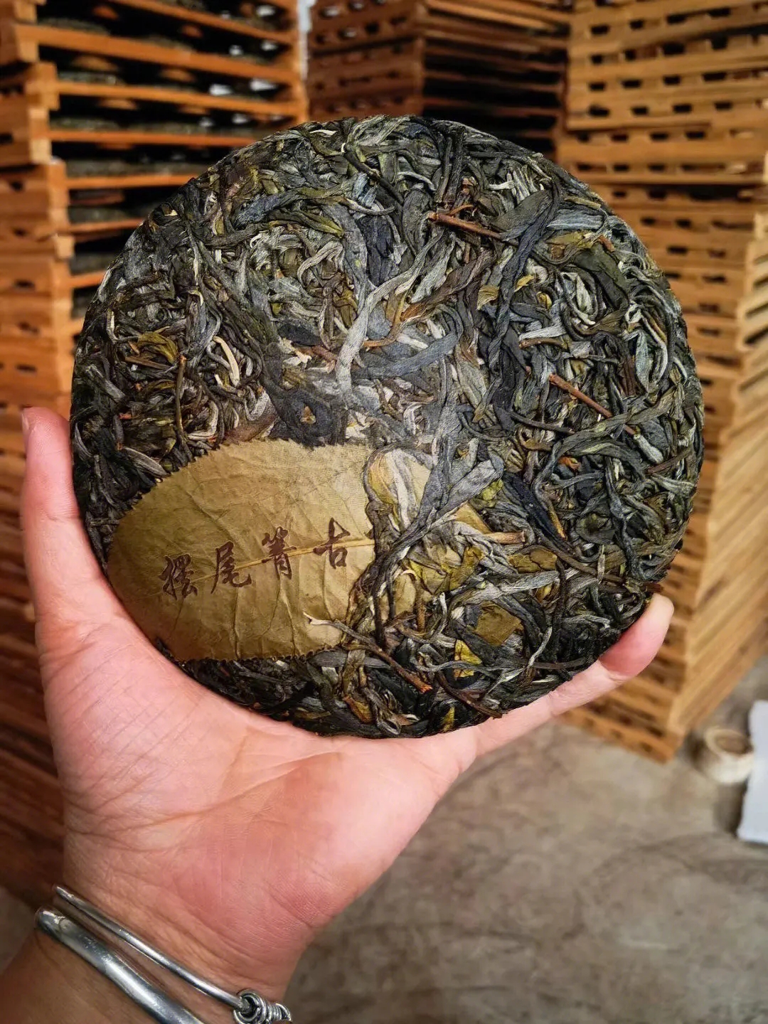 2023年寧洱擺尾箐古樹春茶品質(zhì)怎么樣？