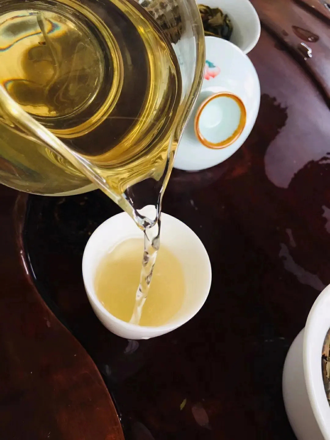 2023年鎮(zhèn)沅老海塘古樹春茶價(jià)格是多少？