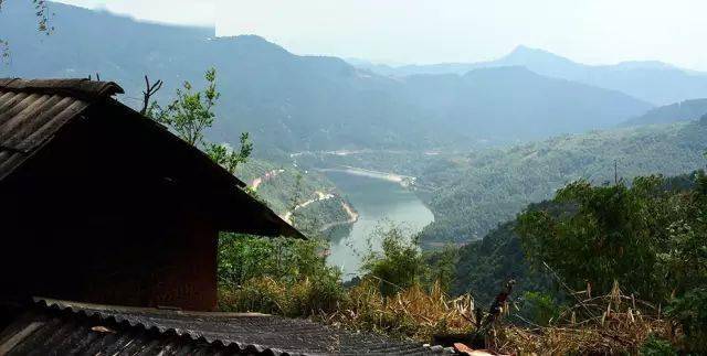 2024年磨烈古樹春茶價格多少？