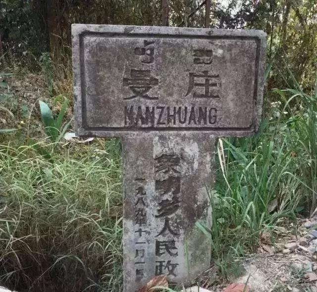 2025年蠻磚古樹春茶價(jià)格是多少？