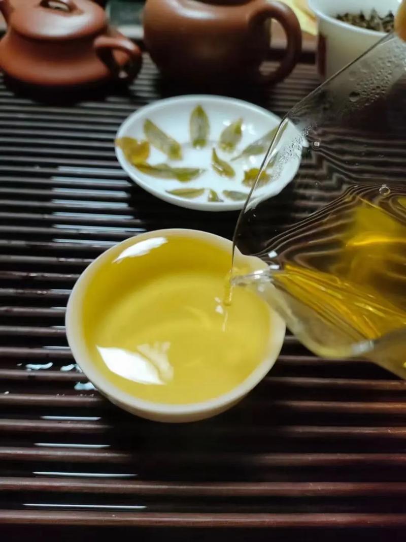 倚邦貢茶，甘甜醇柔